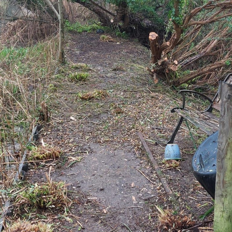 clearing overgrown garden reading