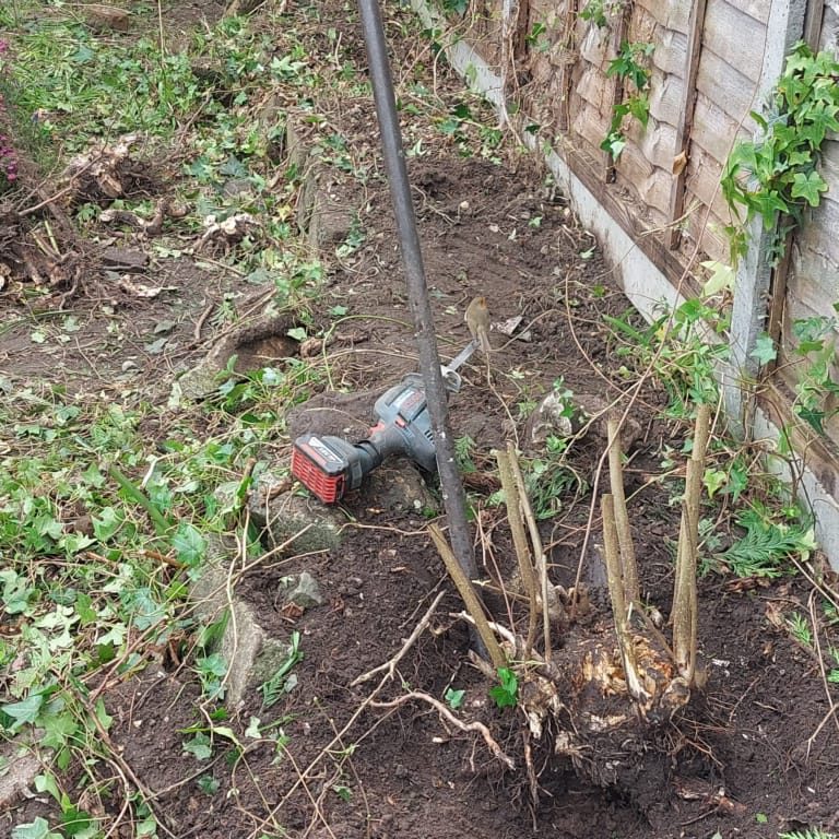 digging out roots clearance