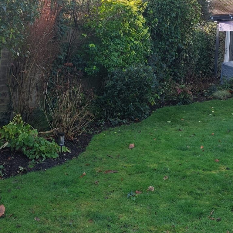 edging borders garden maintenance
