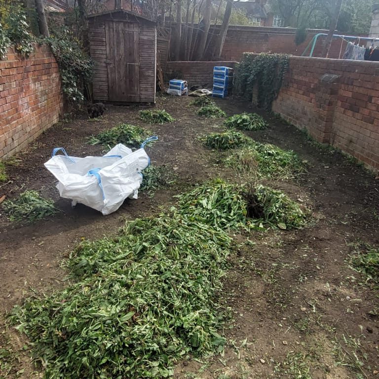 garden clearance reading