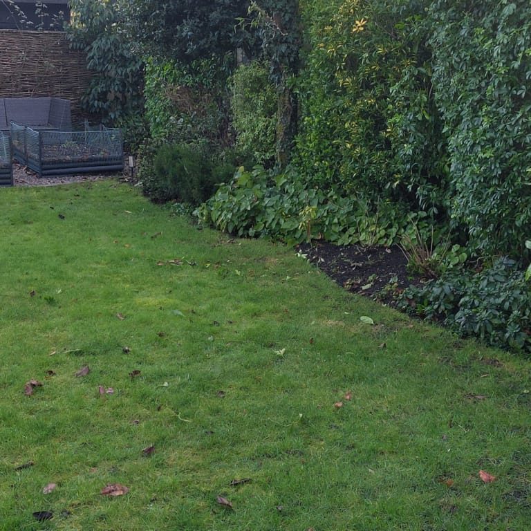 garden maintenance service