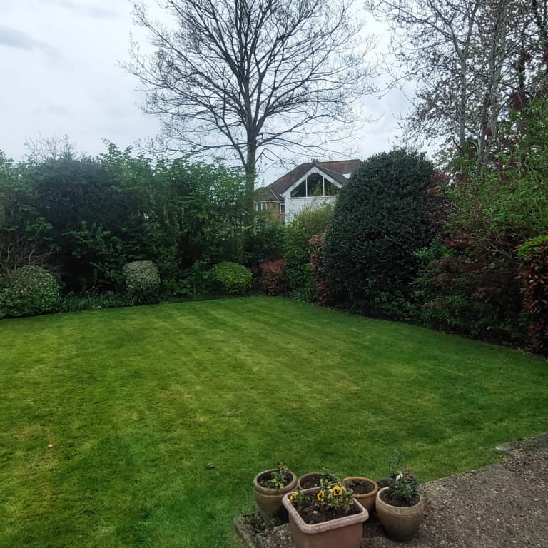 grass cutting reading