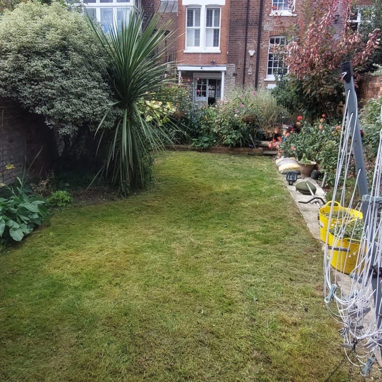 lawn care and shrub pruning