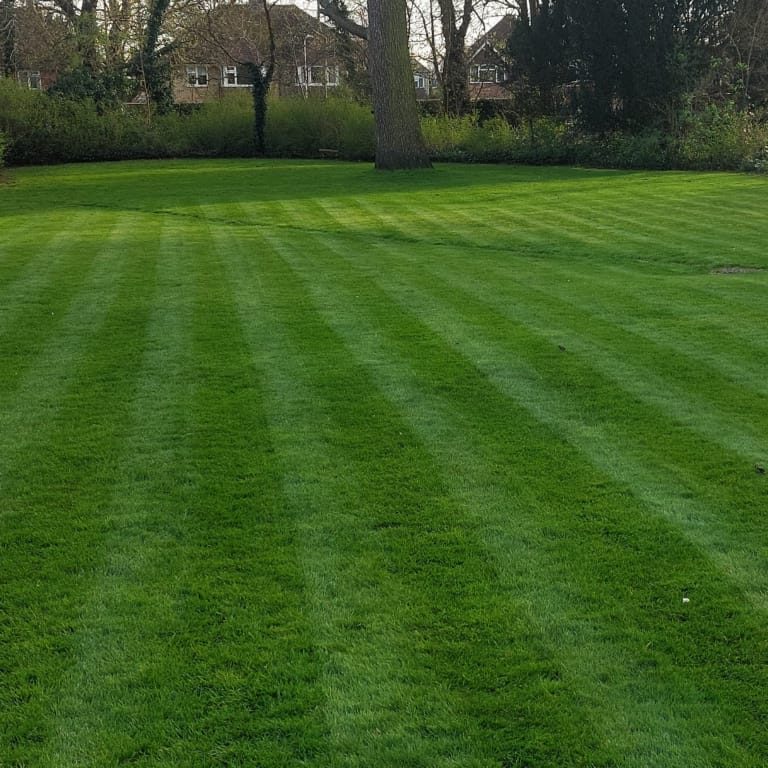 lawn care lawn mowing grass cutting