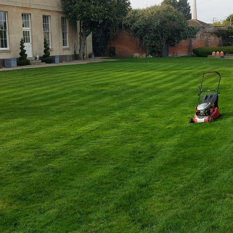 professional garden maintenance